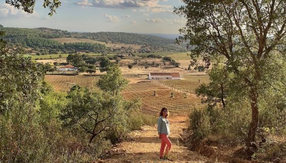Esteban and new vineyard