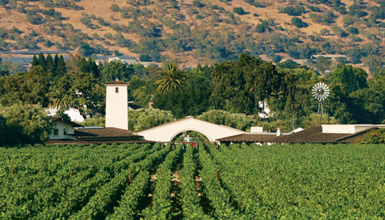 Robert Mondavi winery