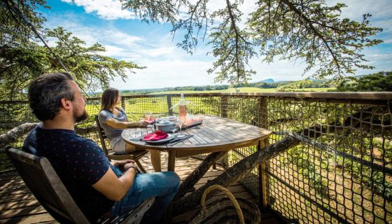 Domaine St-Jean de l'Arbousier tree house