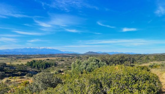 View from Dom Brial's Le Crest Petit vineyard