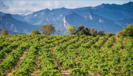 Herència Altés landscape