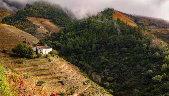 Wine & Soul Quinta da Manoella