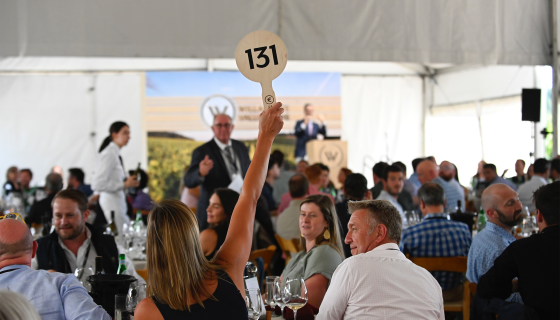 A bidder raises her paddle at the Willamette Valley Wine Auction; photo by Carolyn Wells-Kramer.