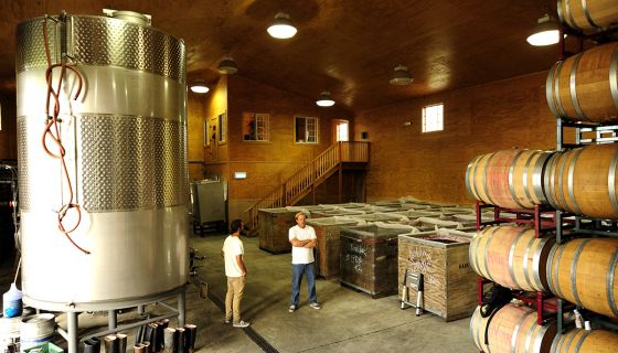 Tensley wines barrel room