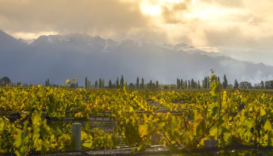 Susana Balbo - Finca La Delfina in Paraje Altamira by Carol Ahumada