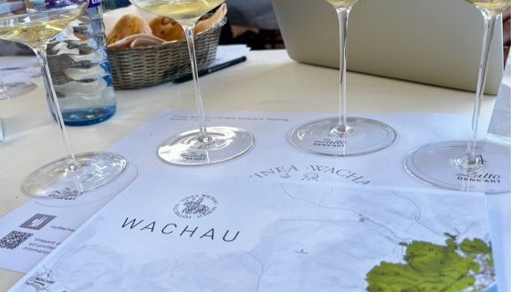 Glasseds and map on table at the Vinea Wachau tasting