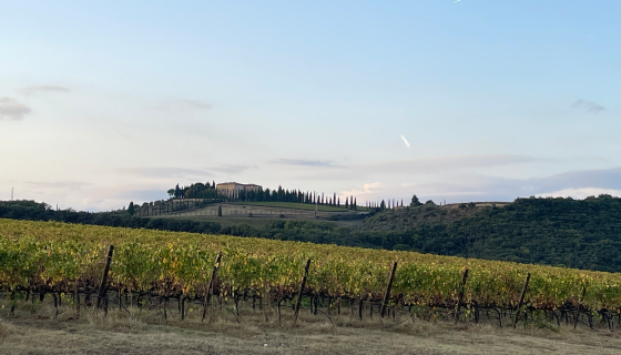 View towards Villa Argiano in S angelo Scalo