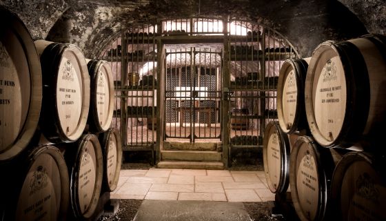 Dom du Clos Frantin cellars