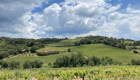 Mandrolisai landscape