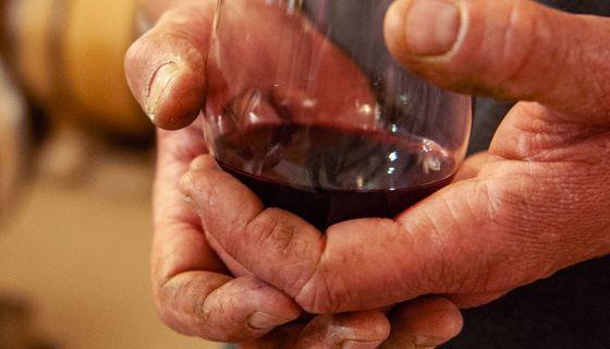 burgundy vigneron hands and glass by Jon Wyand
