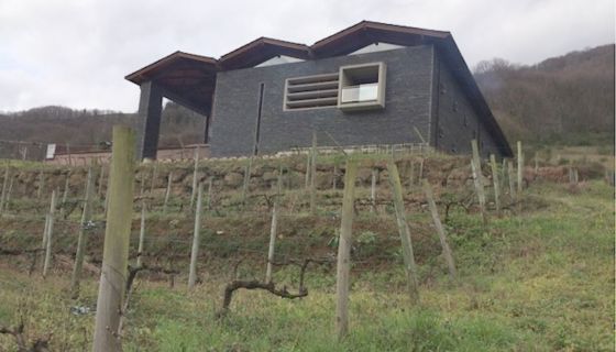 Dominio del Urogallo on Asturias hillside