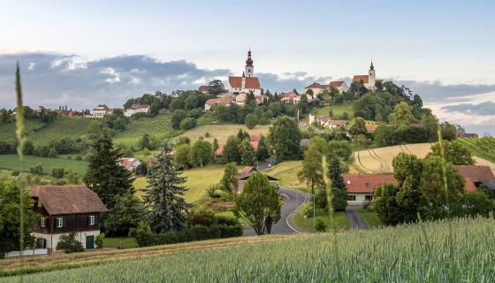 Neumeister Straden vineyard