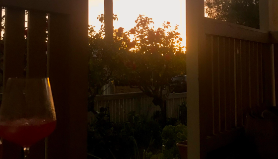 Wine in late Melbourne Spring colours  Photo Credit: Elise Penney 