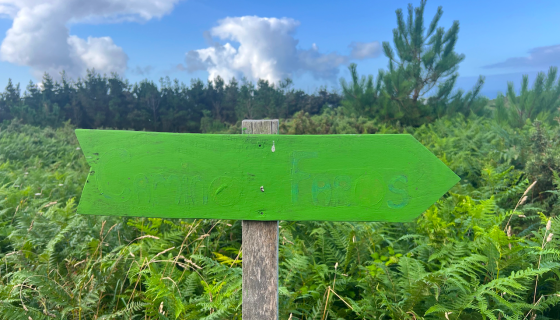 Camino dos Faros sign in the bracken