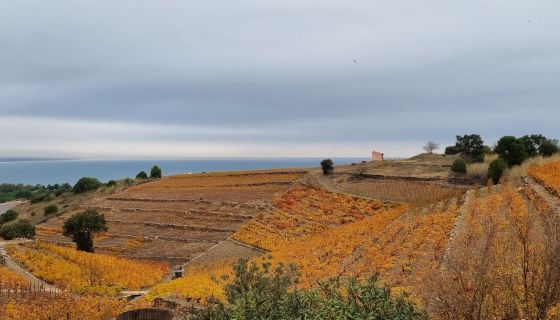 La Tour Vieille - view from the office