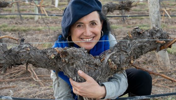 Dr Laura Catena Hugging a Vine