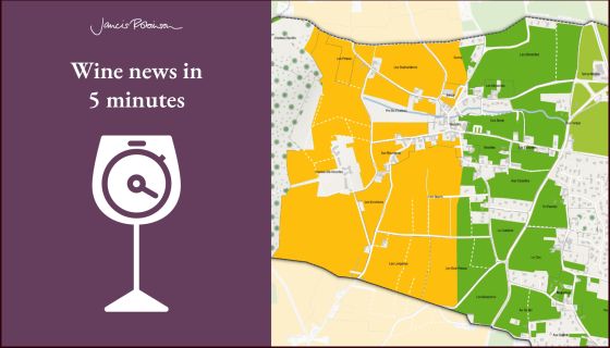 Pouilly-Vinzelles closeup 