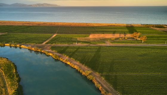 te Pā home vineyard Wairau Bar