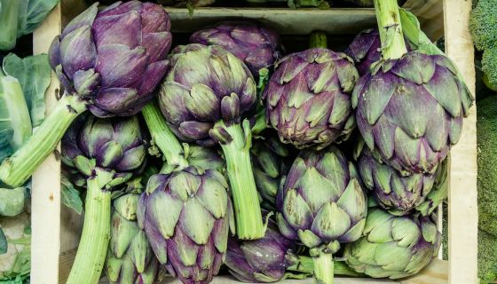 globe artichokes by Martin Adams 