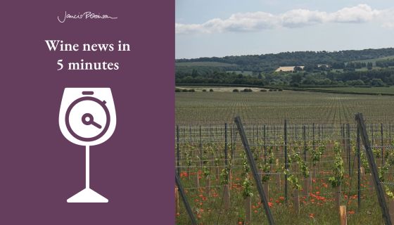 Chapel Down's new vineyard June 2025 and Wine news in 5 logo