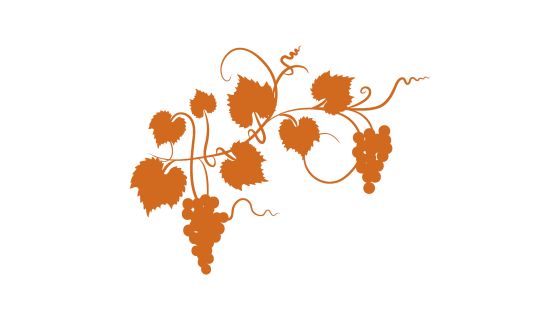 dark orange grapevine on a white background
