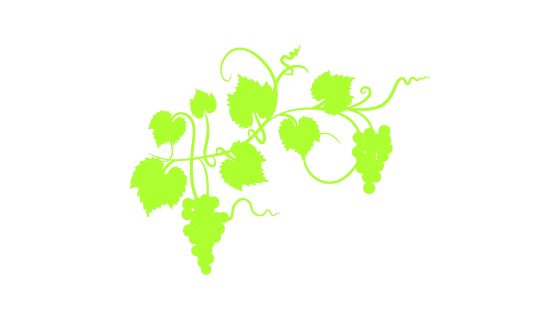 Light green grapevine