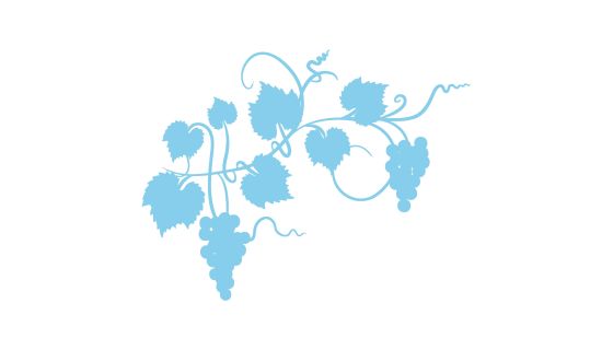 Light blue grapevine on a white background. Image by diane555 via iStock.