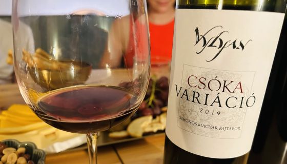 Maria Pozzo-Tonkova WWC25 Image