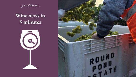 Napa harvest 2025 at Round Pond and wine news in 5 logo