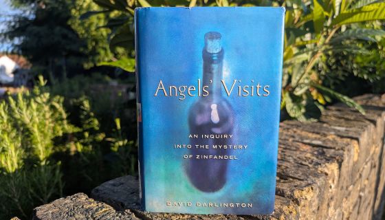 Angel's Visits by David Darlington book cover