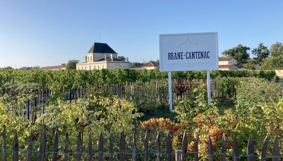 Château Brane-Cantenac and vineyards