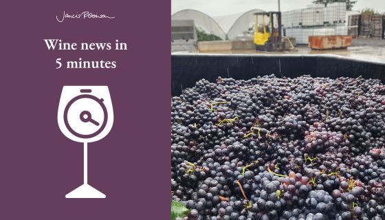 Pinot Noir harvest at 21 Brix courtesy Brian Barmore and jr-wine-news-5-min-logo