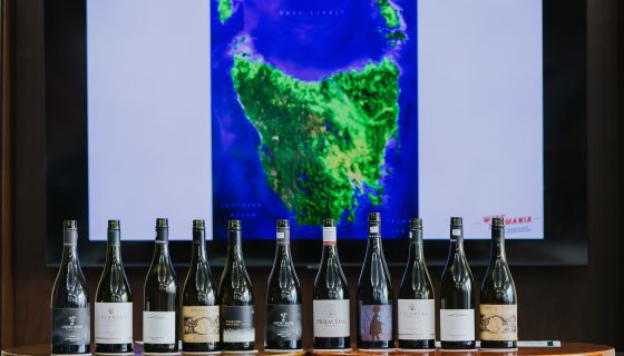 Bottles of Tasmanian wine standing in front of a screen showing a map of Tasmania
