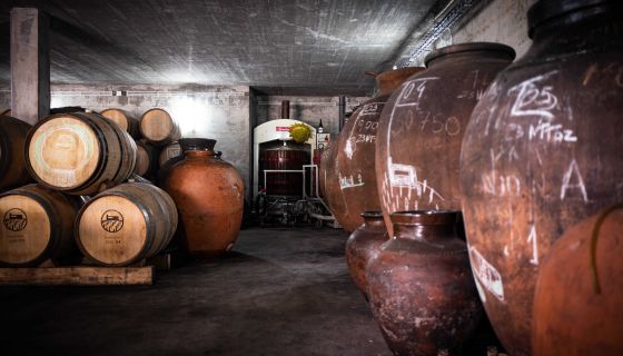 talhas and barrels at Natus Vini