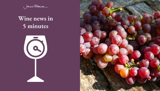 a bunch of Chardonnay Rose from Sylvain Pataille's Marsannay vineyard, courtesy Wasserman selections, and the wine news in 5 logo.