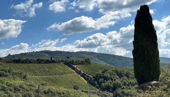 Lamole from a distance