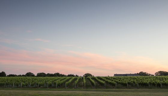 Wolffer Estate at dusk