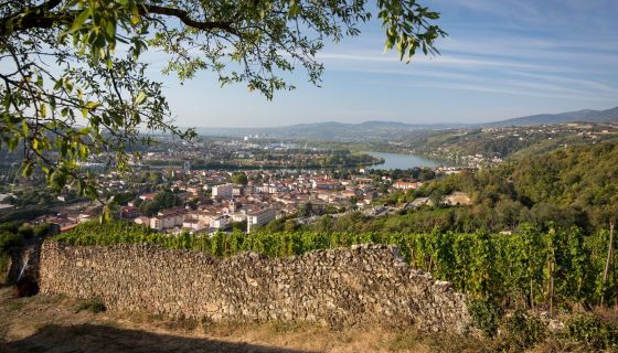 Ampuis viewed from Condrieu © Bernard Favre