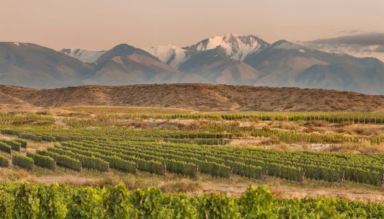Finca las Cerrilladas