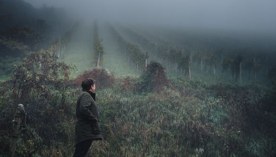 Gerhard Wohlmuth looking up at the Edelschuh vineyard