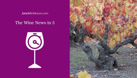 Wine-news-5-min logo and a photo of an old vine in autumn