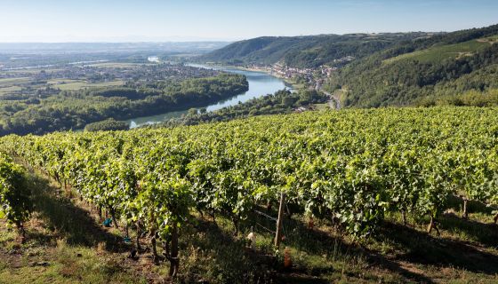 St-Joseph view © Bernard Favre