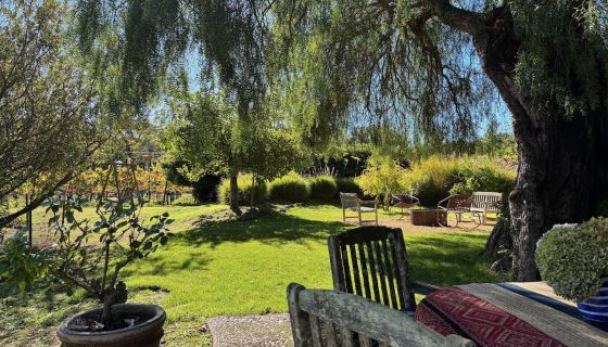 Sunny garden at Blue Farm