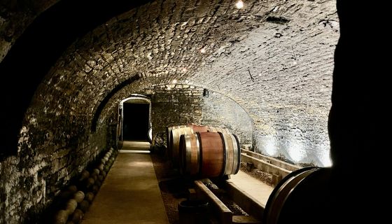 Liger-Belair cellar 2024