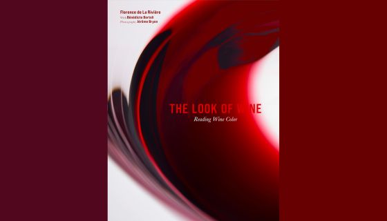 The Look of Wine by Florence de La Riviere cover