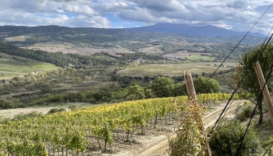 View from Le Ripi towards Monte Amiata