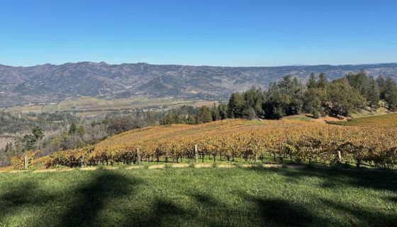 View from Smith Madrone on Spring Mountain