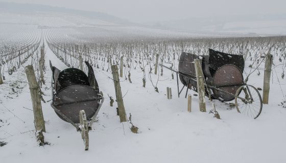 2brouettes in Richbourg,Vosne-Romanee