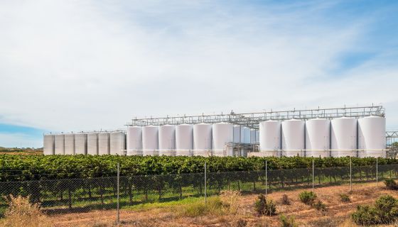 Australian wine tanks and grapevines
