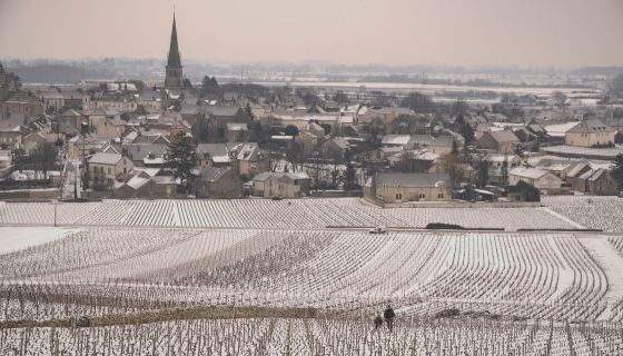 Meursault in the snow - Jon Wyand